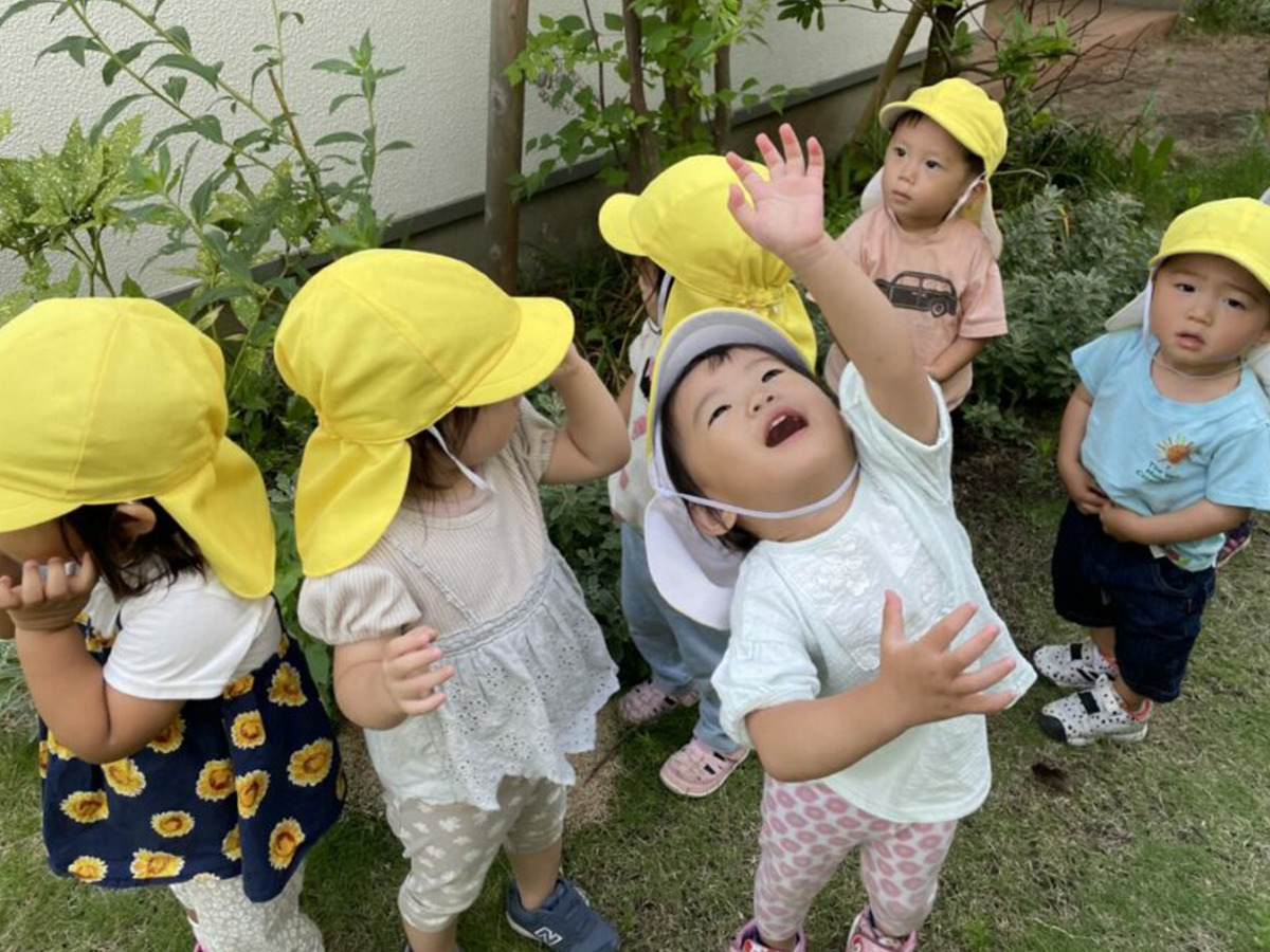 園庭で黄色い帽子をかぶり、空を見上げながら元気に遊ぶ園児たち