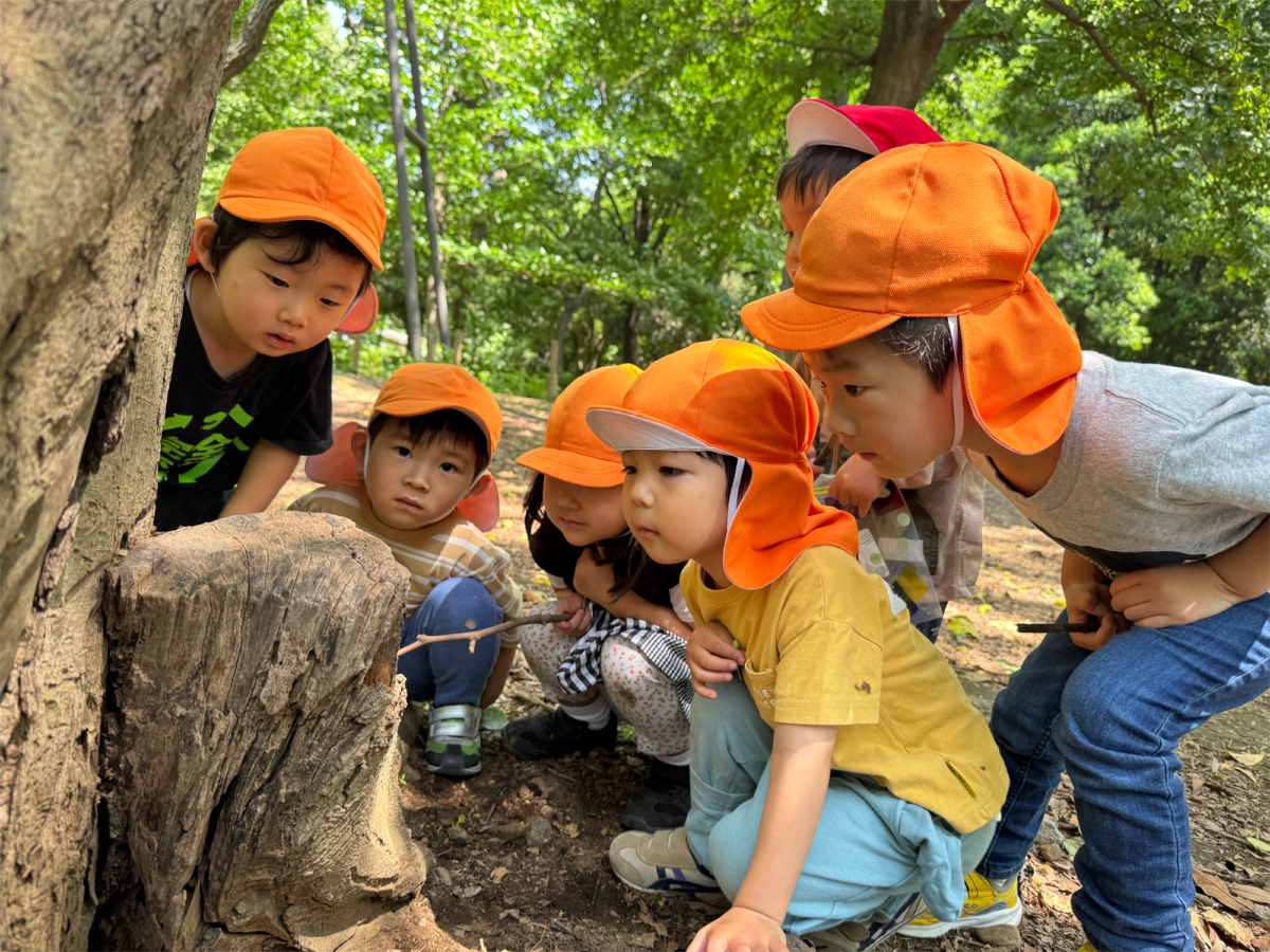 オレンジ色の帽子をかぶり、園庭で自然に触れる子どもたち